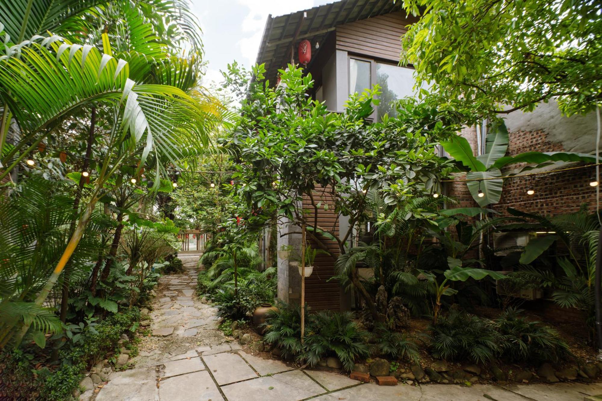 King Kong Homestay Ninh Binh Exterior photo